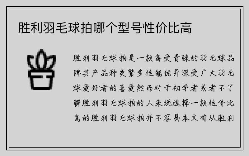 胜利羽毛球拍哪个型号性价比高