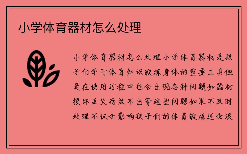 小学体育器材怎么处理