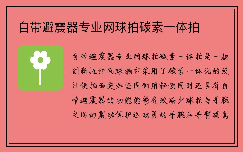 自带避震器专业网球拍碳素一体拍