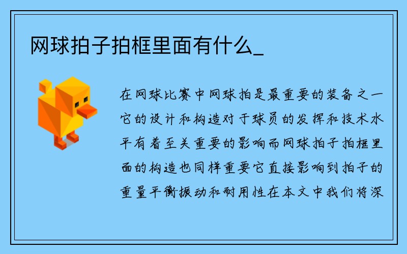 网球拍子拍框里面有什么_