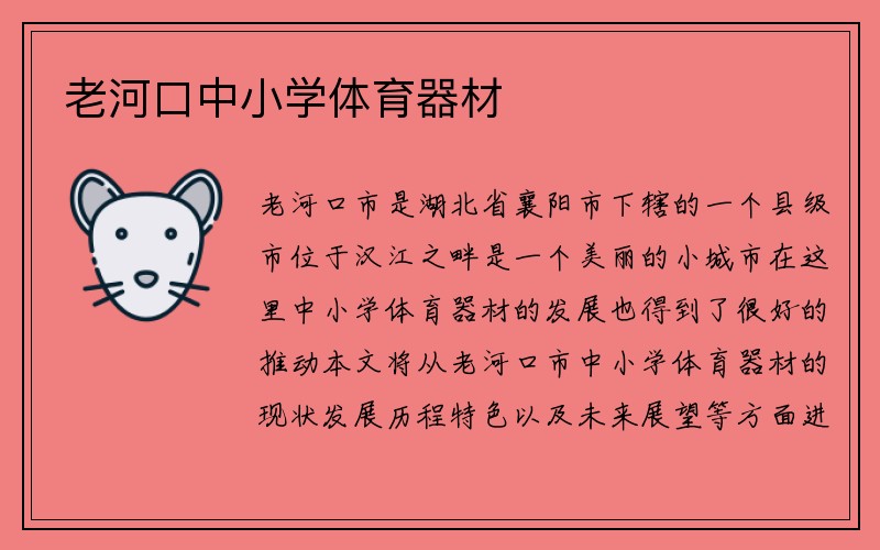 老河口中小学体育器材