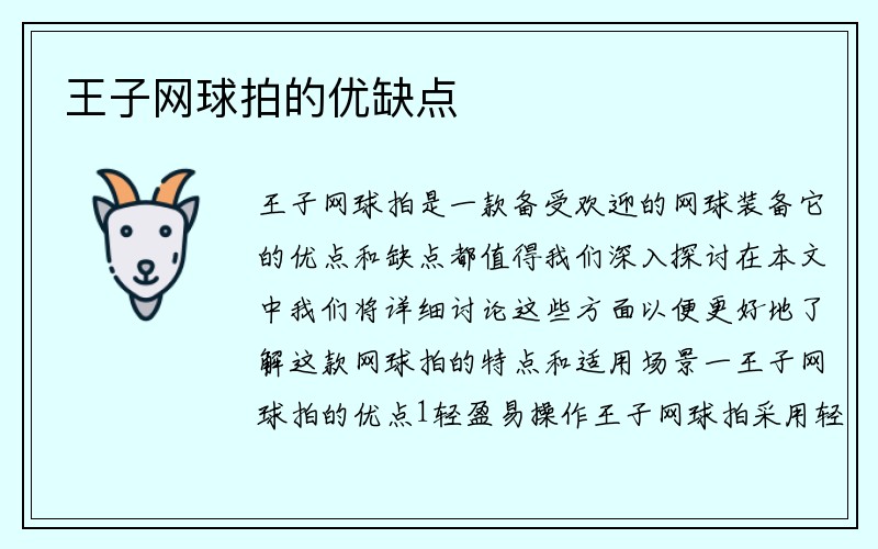 王子网球拍的优缺点