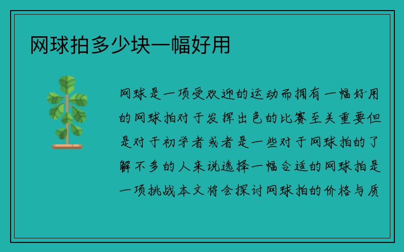 网球拍多少块一幅好用