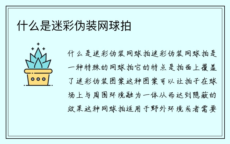 什么是迷彩伪装网球拍