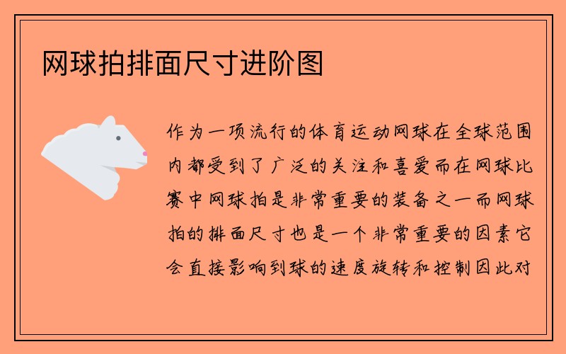 网球拍排面尺寸进阶图